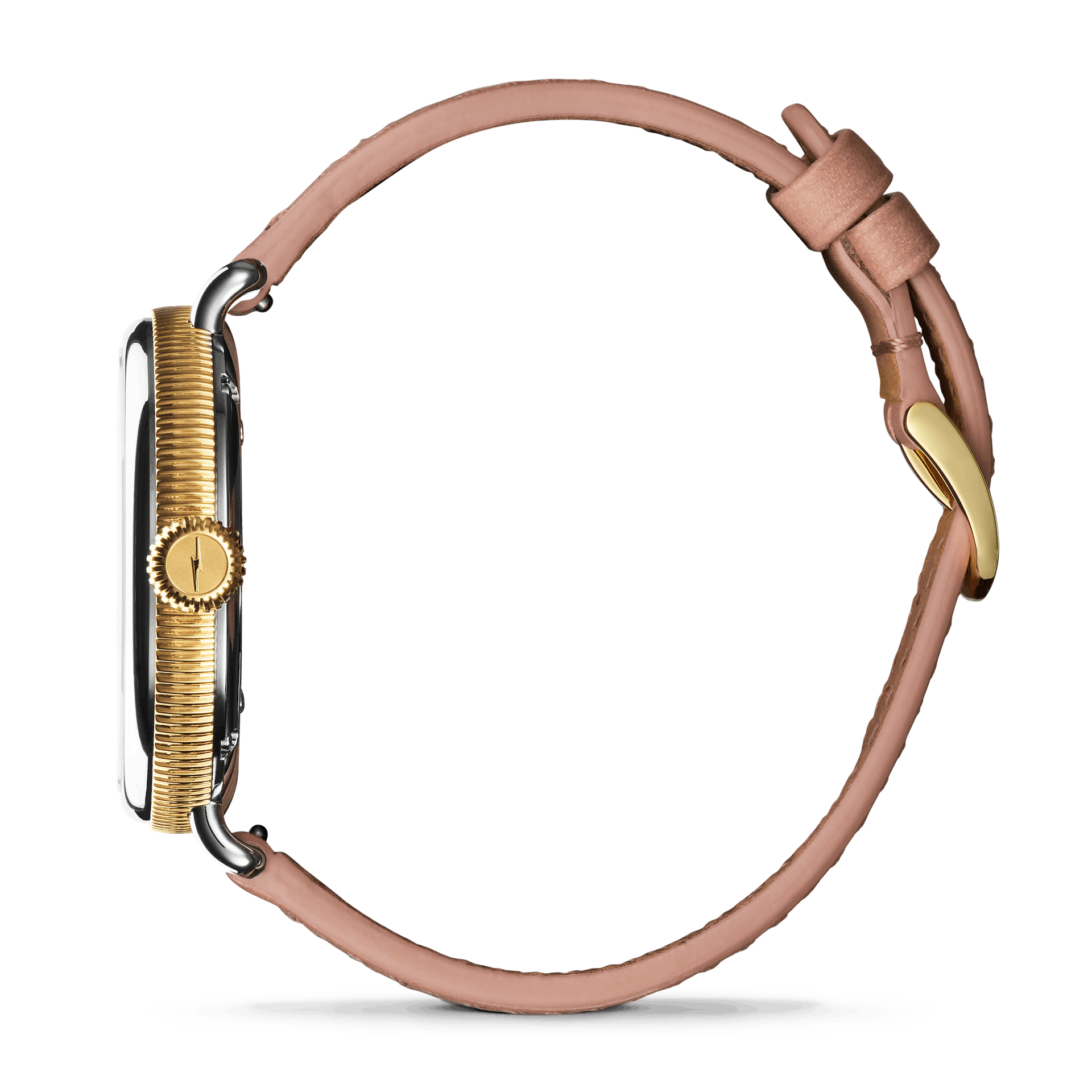 Shinola Birdy Day & Night Watch (38mm)