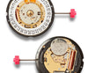Shinola Sea Creatures Watch (40mm)