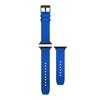 color-royal-blue