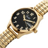 color-gold-black