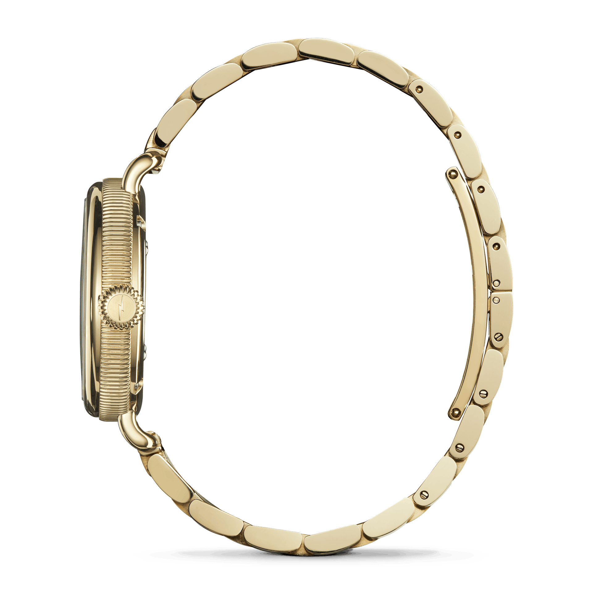 Shinola Birdy Watch (34mm)
