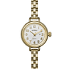 Shinola Birdy Watch (34mm)