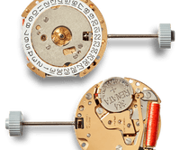 Shinola Birdy Watch (34mm)
