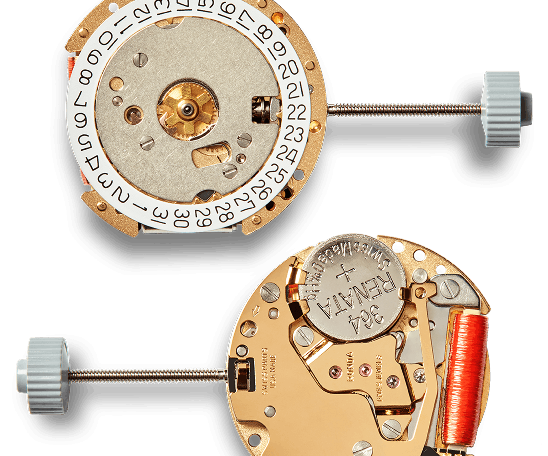 Shinola Birdy Watch Watch (34mm)