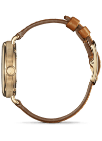 Shinola Birdy Moon Phase Watch (34mm)